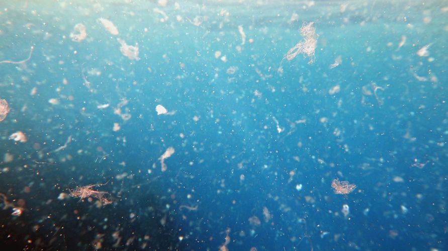 MIKROPLASTIK IM WASSER